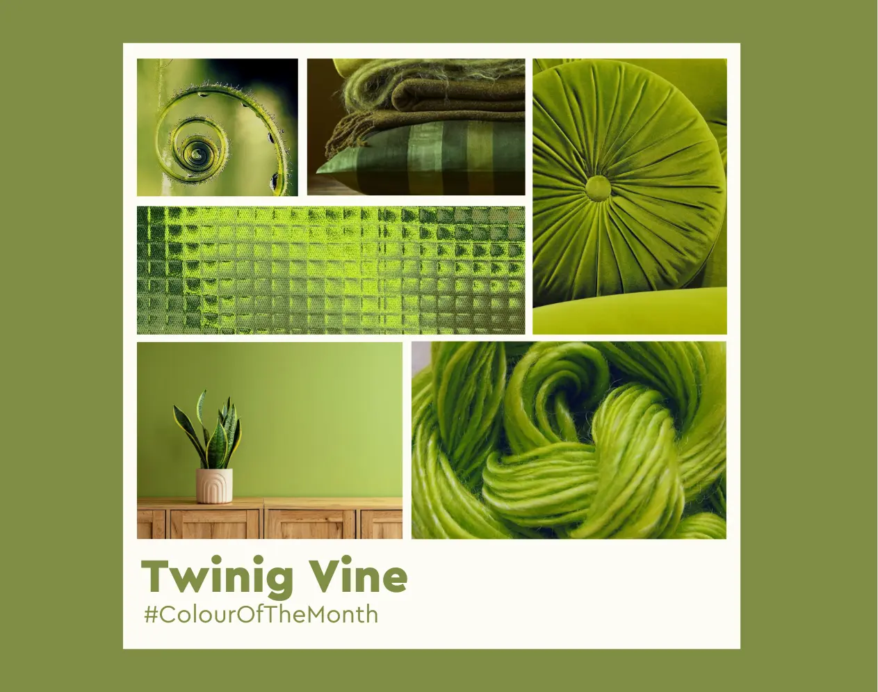 May Colour of the Month: Twinig Vine (2630C)